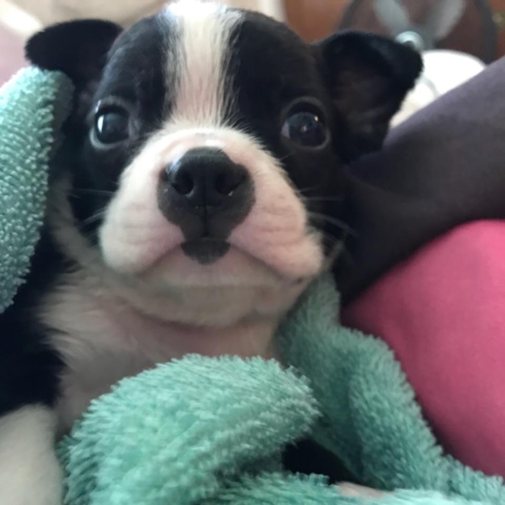 Meet your Posher, Keyshauna